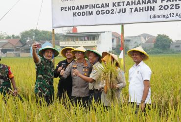 Petani Rorotan Semringah, Panen Raya Disambut Gembira Bersama TNI, Polri, dan Forkopimko