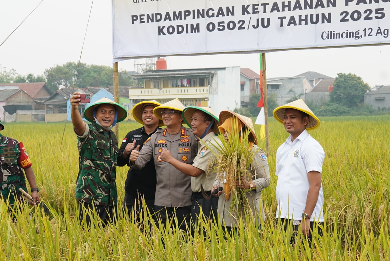 Petani Rorotan Semringah, Panen Raya Disambut Gembira Bersama TNI, Polri, dan Forkopimko